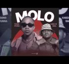 Kabza De Small & Young Stunna – Molo