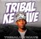Kayvin_Jazz, Djy Mow Sa, Vibekulture Sa & Sthipla rsa – Tribal Ke Wave