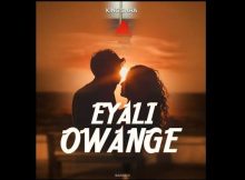 King Saha - Eyali Owange