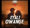 King Saha - Eyali Owange