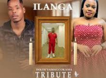 Limit Nala – Lashona Ilanga