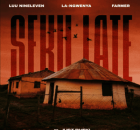 Luu Nineleven, La-Ngwenya & Farmer ft Just Bheki – Seku Late