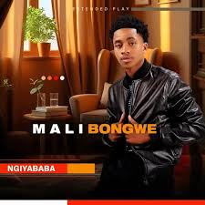 Malibongwe - Ayisuka Uyadlala