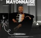 Mayonnaise Cebisa ft Snakhokonke Xulu & Nzunzo we Zihlabani – Nhliziyo Dela