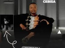 Mayonnaise Cebisa ft Snakhokonke Xulu & Nzunzo we Zihlabani – Nhliziyo Dela