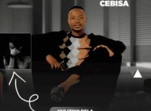 Mayonnaise Cebisa – Nhliziyo Dela ft. Snakhokonke Xulu & Nzunzo we Zihlabani