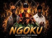 Mellow, Sleazy & Scott Maphuma – NGOKU ft. Optimist Music ZA
