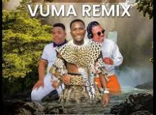 Menzi Music ft Semeo Gee & Inkosi Yamagcokama – Vuma (Remix)