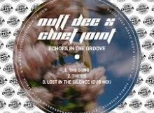 NUF DeE, Chief Joint – Lost In The Silence (Dub Mix)