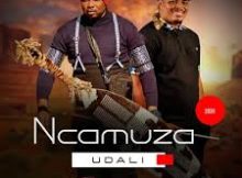 Ncamuza ft Shenge Wasehlalankosi – Udali