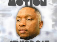 Senior Oat – I Cling