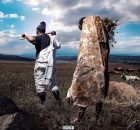 Skoen Pampiri - Lebenya