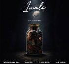 Status Quo SA, InQfive, Thirr Deep & Mc Kamo – iMali (Inclu. Roots)