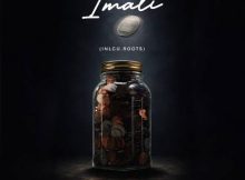 Status Quo SA, InQfive, Thirr Deep & Mc Kamo – iMali (Inclu. Roots)