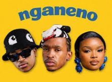 Tallrickyworldwide, Orchid MusiQ & Lowfeye – NGANENO