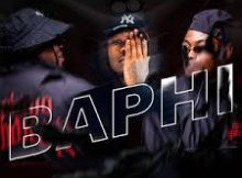 Teraphonique – Baphi Ft DQ Official, DNZL444, Mr Nation Thingz & Loony Q