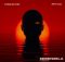 TheologyHD & Swizxle – Sebenzela ft. MrBoni707