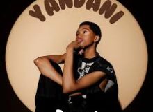 Yandani – Touch