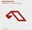 Zakes Bantwini & Jordan Arts – You Never Know (Extended Mix)