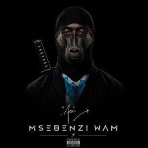 iFani – Corrections