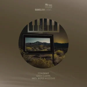 ToniQkay & Botle MusiiQue – I Got Something (Instrumental)